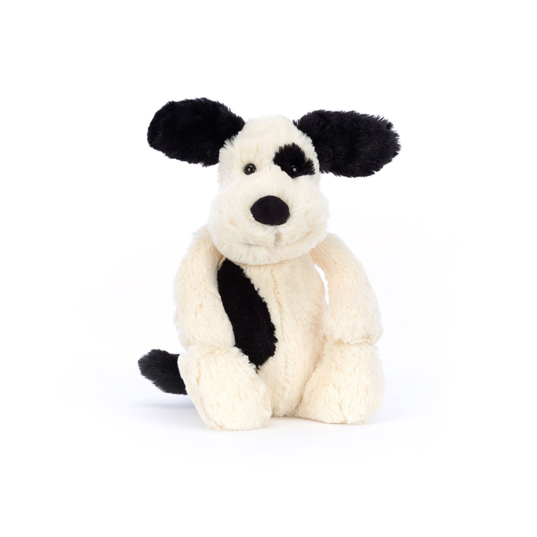 Bashful Black and Cream Puppy