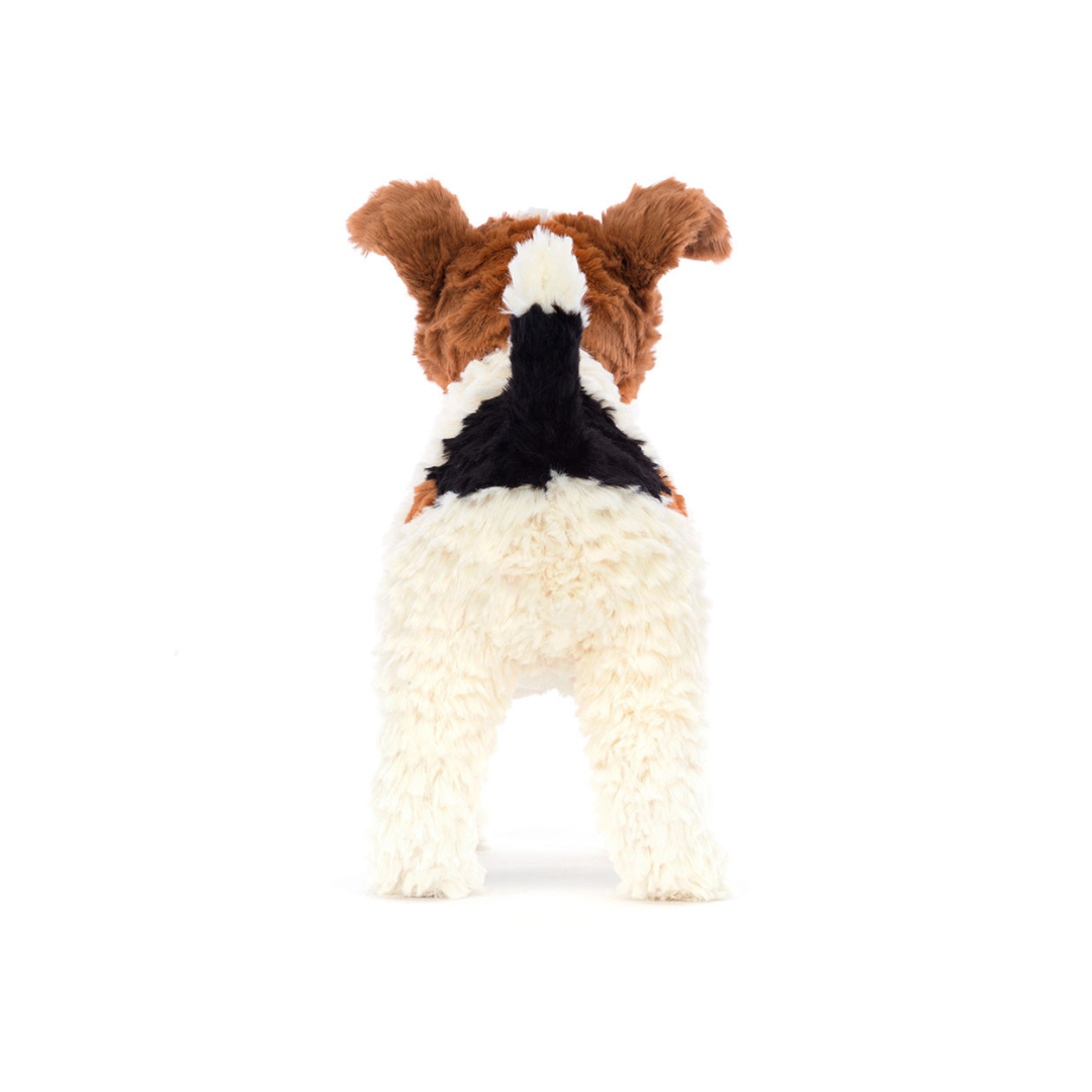 Hector Fox Terrier