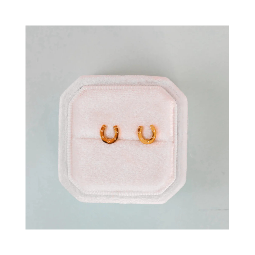 Lucky You Horseshoe Screw Back Earrings