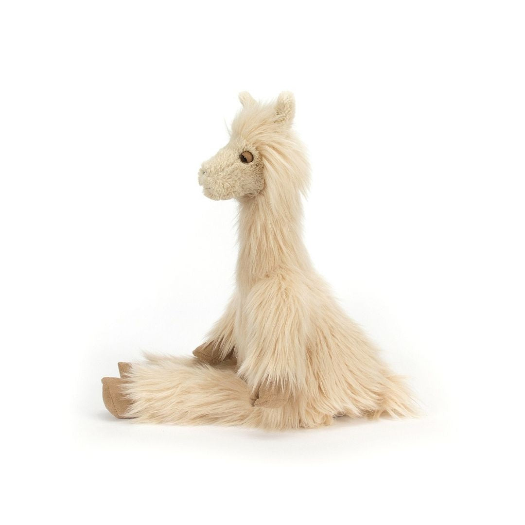 Luis Llama